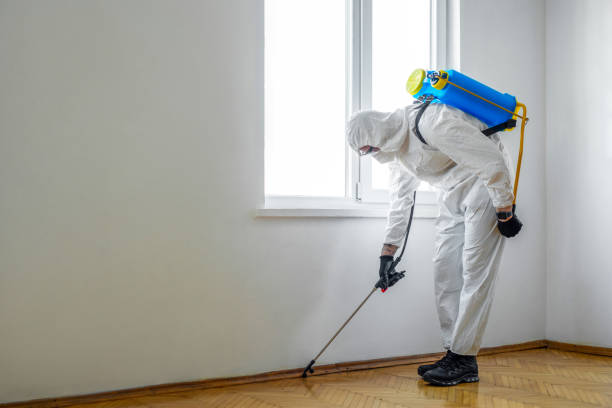 Professional Pest Control in Grovetown, GA