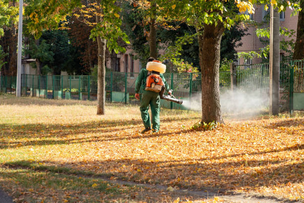 Best Termite Control Services  in Grovetown, GA